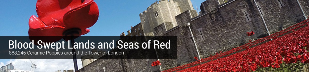 888246 Ceramic Poppies in London